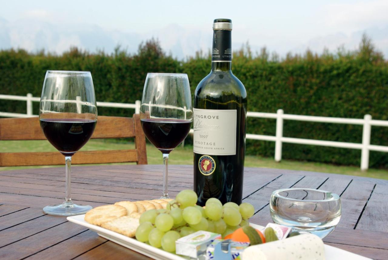 Lyngrove Wines & Guesthouse ステレンボッシュ エクステリア 写真